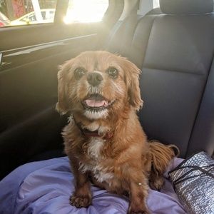 Meet your Posher, Anastasia